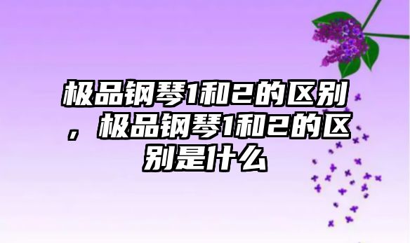 極品鋼琴1和2的區(qū)別，極品鋼琴1和2的區(qū)別是什么