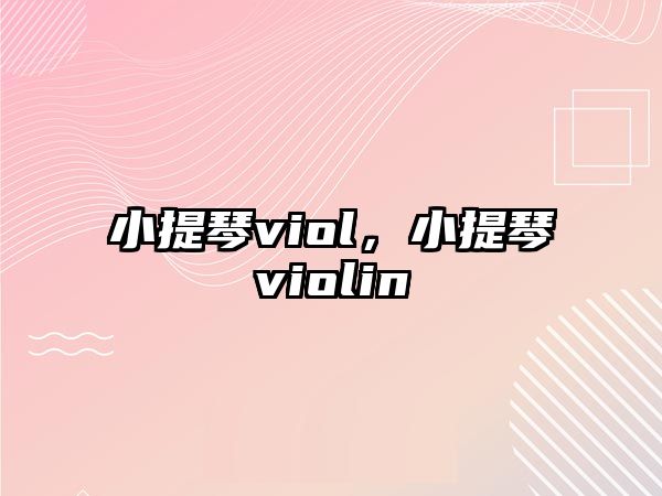 小提琴viol，小提琴violin