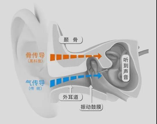 耳機中的“超能力者”，不用進耳導入音樂，網(wǎng)友：上班戴一天不疼