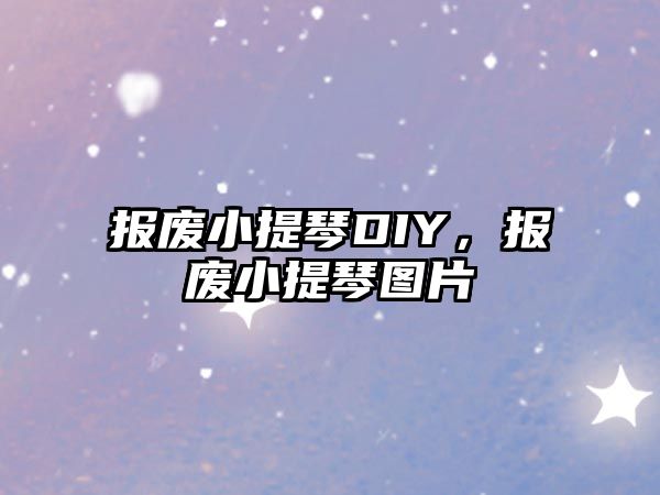 報廢小提琴DIY，報廢小提琴圖片