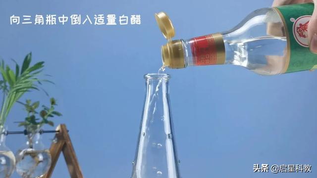 瓶子吹氣球丨不用雙手和嘴，怎么能夠把氣球吹起來呢？