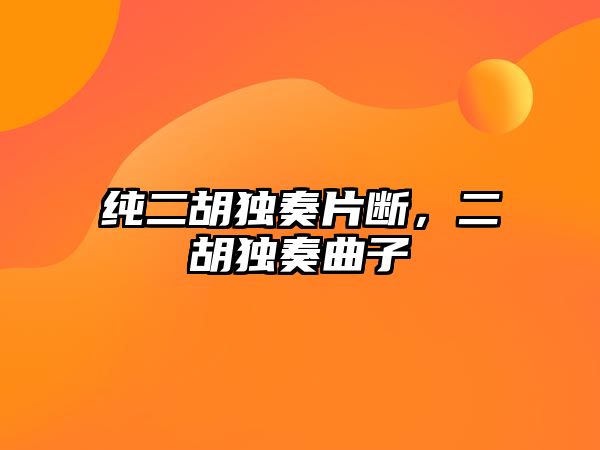 純二胡獨(dú)奏片斷，二胡獨(dú)奏曲子