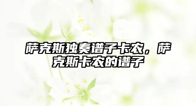 薩克斯獨奏譜子卡農，薩克斯卡農的譜子