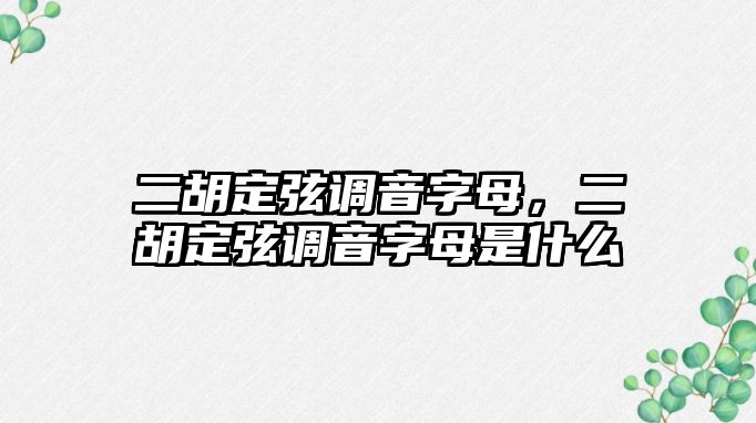 二胡定弦調音字母，二胡定弦調音字母是什么