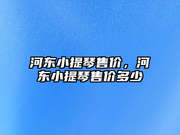 河?xùn)|小提琴售價(jià)，河?xùn)|小提琴售價(jià)多少