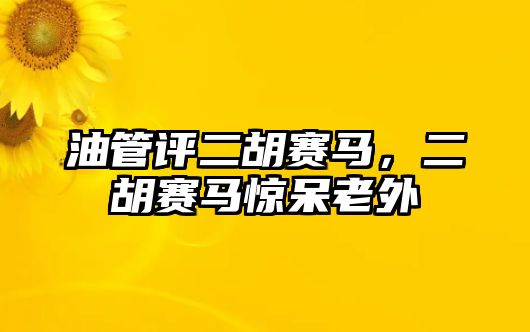 油管評二胡賽馬，二胡賽馬驚呆老外