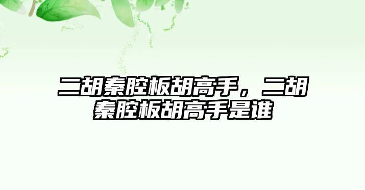 二胡秦腔板胡高手，二胡秦腔板胡高手是誰