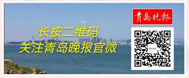 優雅小提琴殺手(83歲半全省年齡最大的“新手”老司機就是他，還是個小提琴制作達人)