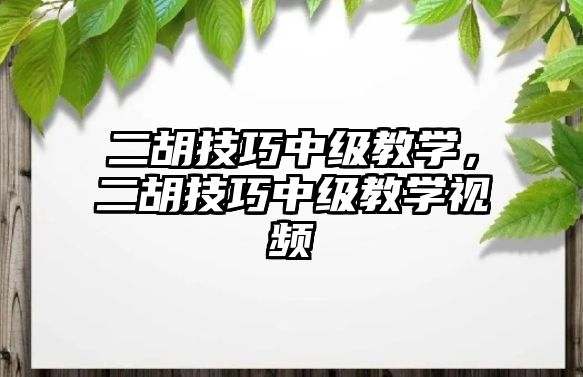 二胡技巧中級教學，二胡技巧中級教學視頻