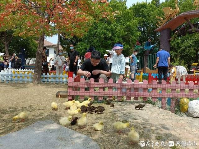 小提琴教堂附近野餐(疫情之下，“近郊游”唱主角為留住游客，濟南景區(qū)有多拼？)