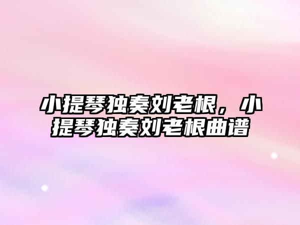 小提琴獨奏劉老根，小提琴獨奏劉老根曲譜