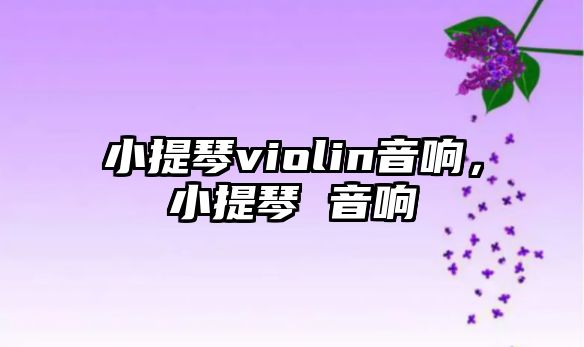 小提琴violin音響，小提琴 音響