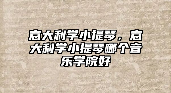 意大利學小提琴，意大利學小提琴哪個音樂學院好