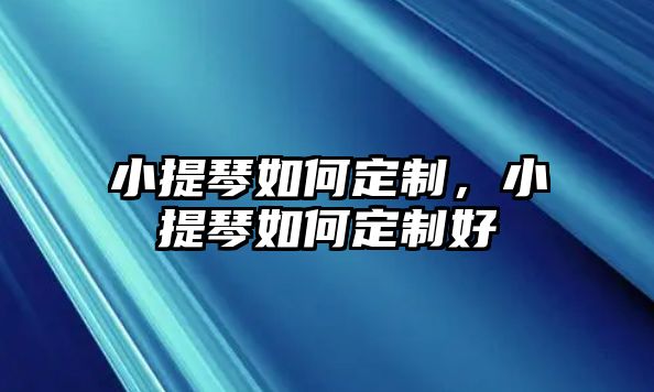 小提琴如何定制，小提琴如何定制好