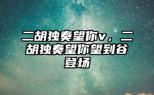 二胡獨(dú)奏望你v，二胡獨(dú)奏望你望到谷登場(chǎng)