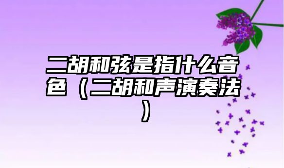 二胡和弦是指什么音色（二胡和聲演奏法）