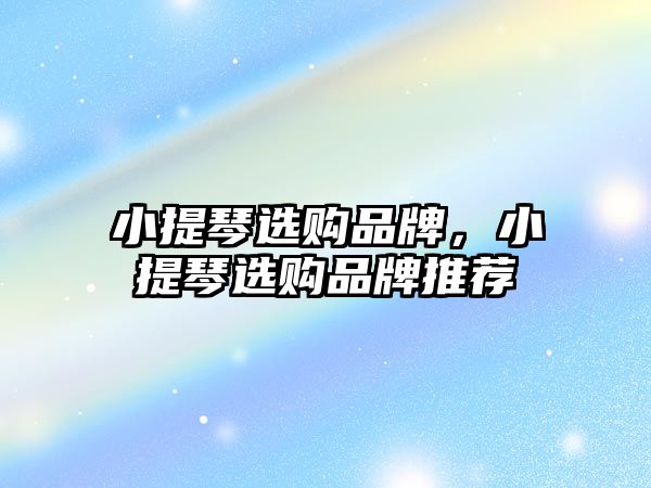 小提琴選購品牌，小提琴選購品牌推薦