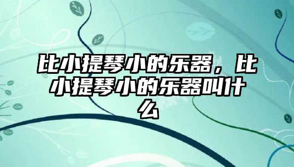 比小提琴小的樂器，比小提琴小的樂器叫什么