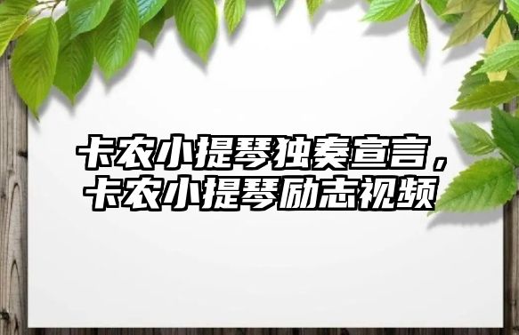 卡農小提琴獨奏宣言，卡農小提琴勵志視頻