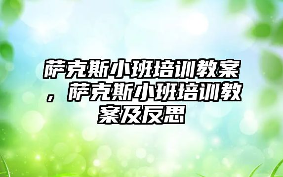 薩克斯小班培訓教案，薩克斯小班培訓教案及反思