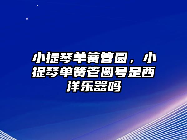 小提琴單簧管圓，小提琴單簧管圓號是西洋樂器嗎