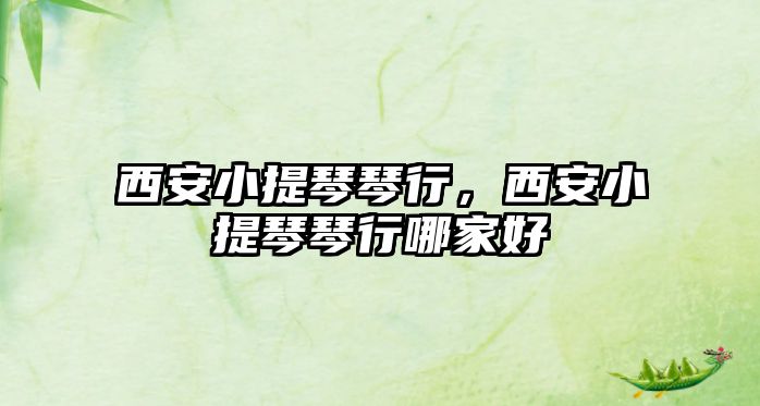 西安小提琴琴行，西安小提琴琴行哪家好