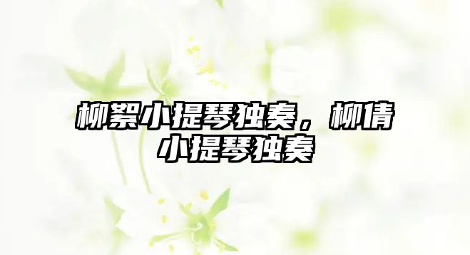 柳絮小提琴獨奏，柳倩小提琴獨奏