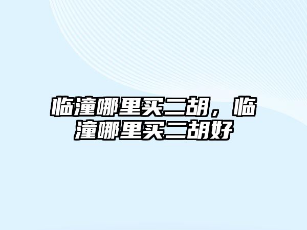 臨潼哪里買二胡，臨潼哪里買二胡好