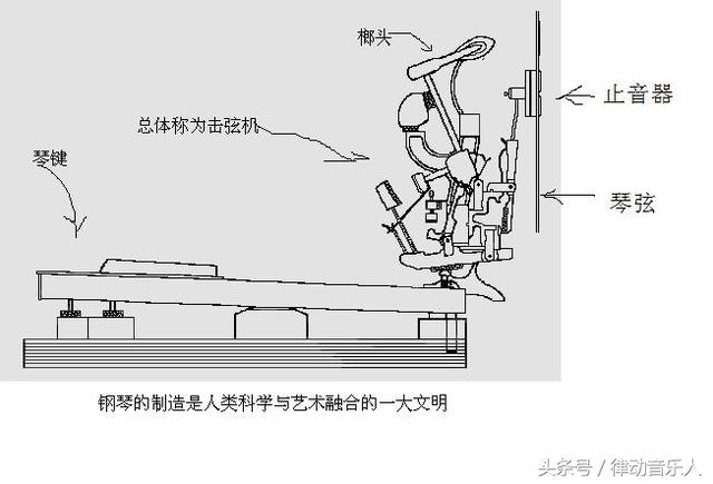 不知道鋼琴的發音原理怎么彈好鋼琴？