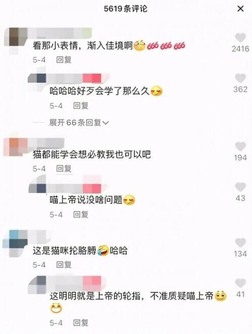 貓咪彈鋼琴？杭州帥氣男老師一段視頻爆火！網友評論亮了