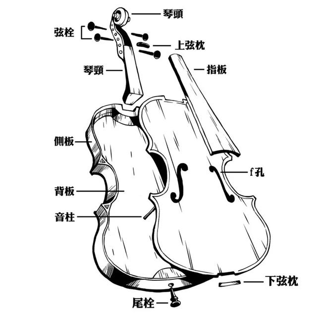 漲姿勢(shì)！首席演奏家為你講解關(guān)于小提琴的故事｜藝堂課
