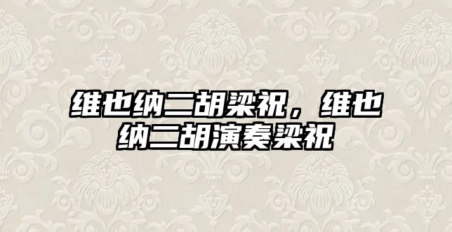 維也納二胡梁祝，維也納二胡演奏梁祝