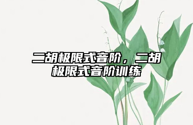 二胡極限式音階，二胡極限式音階訓練