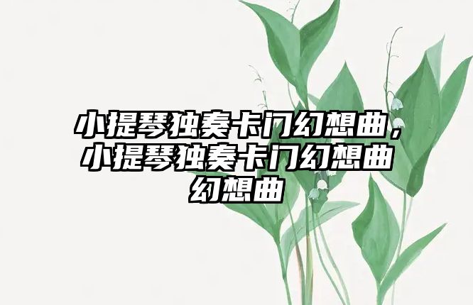 小提琴獨奏卡門幻想曲，小提琴獨奏卡門幻想曲幻想曲