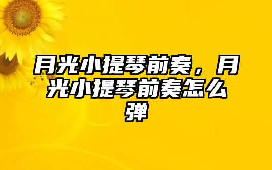 月光小提琴前奏，月光小提琴前奏怎么彈