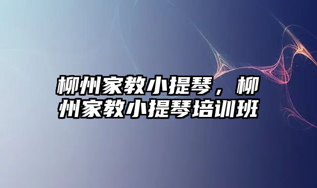 柳州家教小提琴，柳州家教小提琴培訓(xùn)班