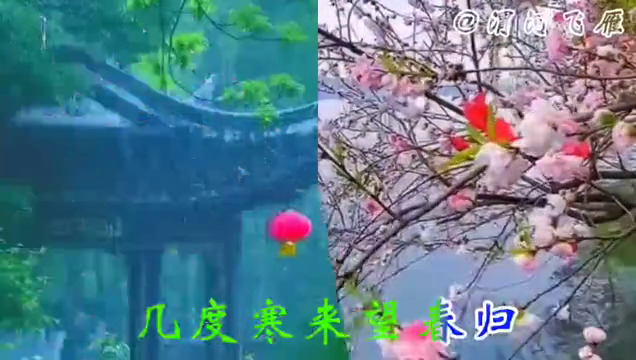 靈丹能愈三千疾，唯有相思不可醫(yī)。一曲《梅花淚》，無盡相...