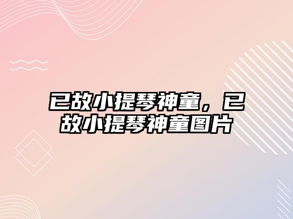 已故小提琴神童，已故小提琴神童圖片