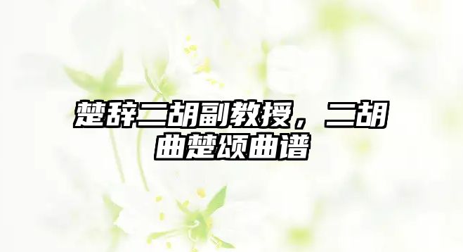 楚辭二胡副教授，二胡曲楚頌曲譜