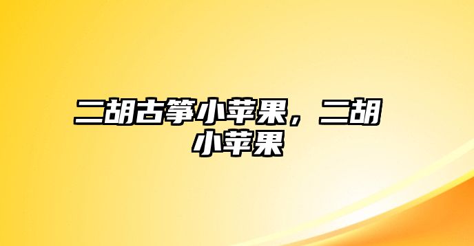 二胡古箏小蘋果，二胡 小蘋果