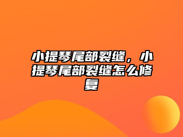 小提琴尾部裂縫，小提琴尾部裂縫怎么修復