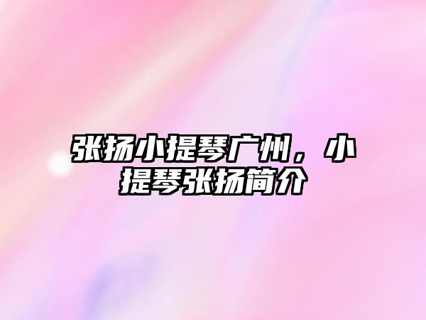 張揚小提琴廣州，小提琴張揚簡介