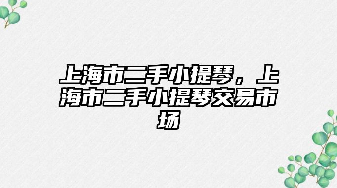 上海市二手小提琴，上海市二手小提琴交易市場