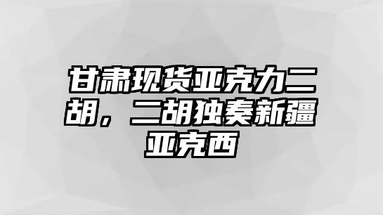 甘肅現貨亞克力二胡，二胡獨奏新疆亞克西