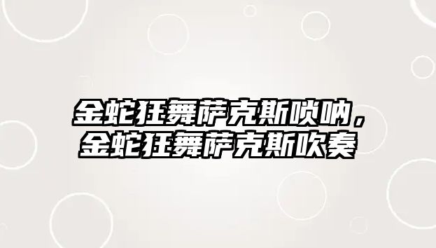 金蛇狂舞薩克斯嗩吶，金蛇狂舞薩克斯吹奏