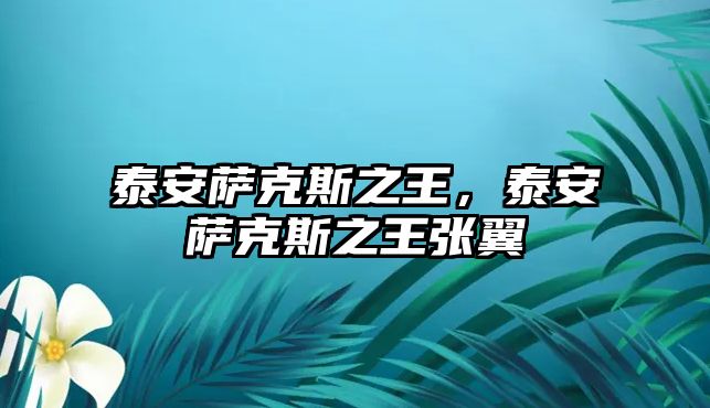 泰安薩克斯之王，泰安薩克斯之王張翼