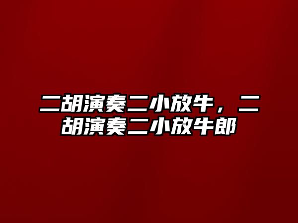 二胡演奏二小放牛，二胡演奏二小放牛郎