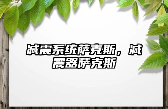 減震系統薩克斯，減震器薩克斯