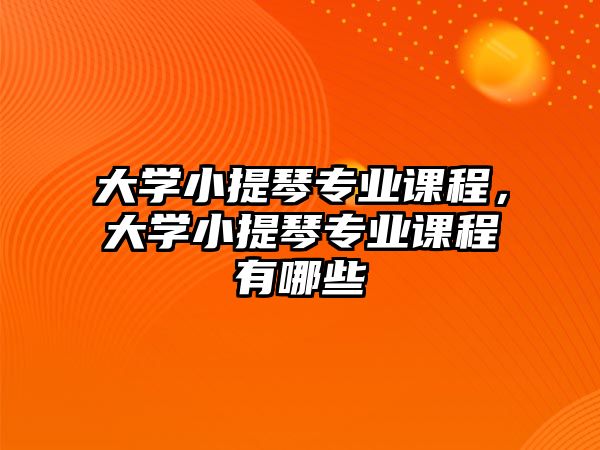 大學小提琴專業課程，大學小提琴專業課程有哪些