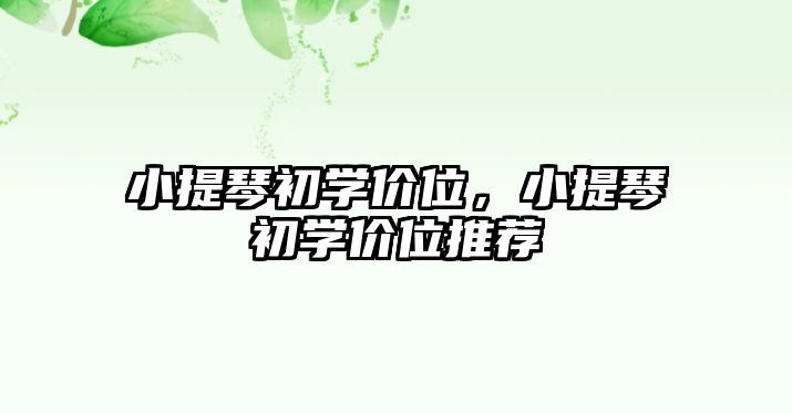 小提琴初學價位，小提琴初學價位推薦